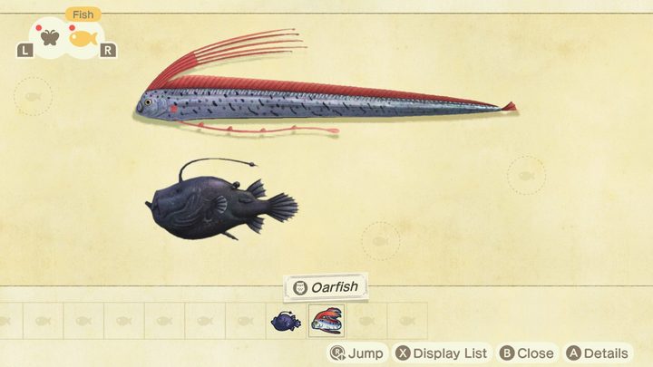 Animal Crossing rare fish guide