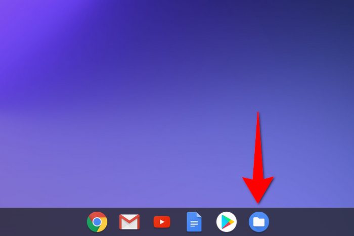 ChromeOS Files