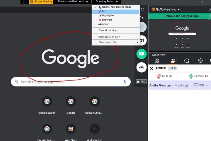 GoToMeeting Drawing Tools screenshot