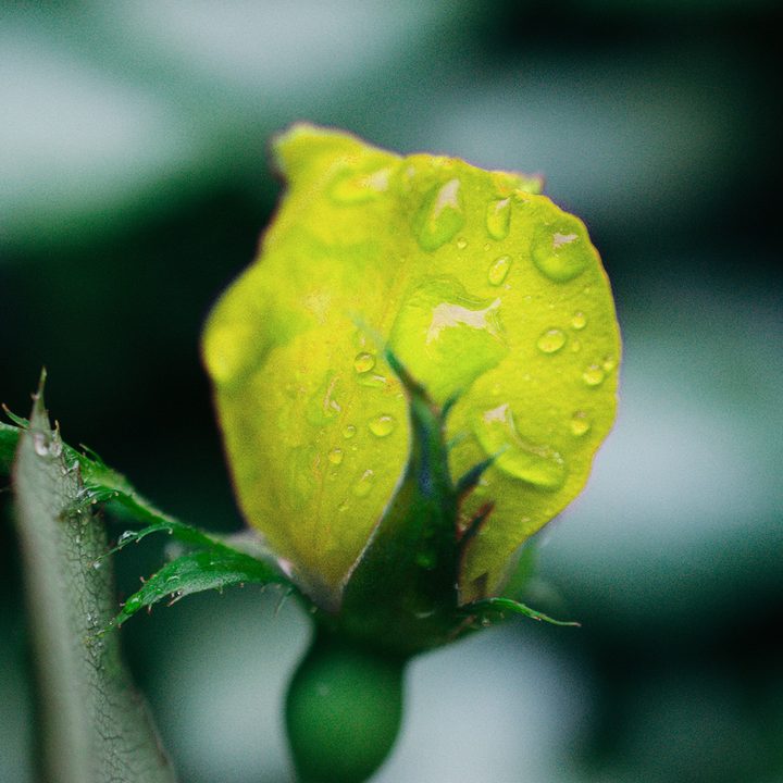 photoshop change color of object dsc 1728 yellow