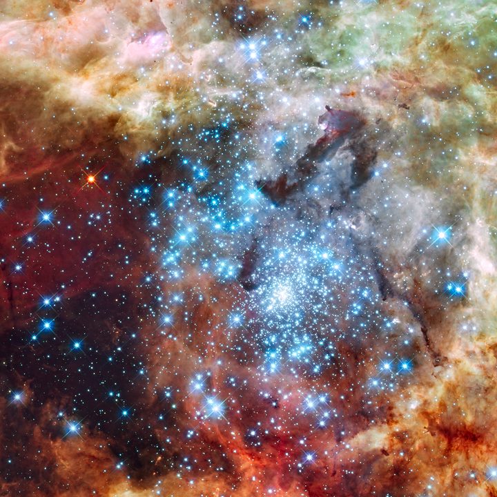 The Tarantula Nebula
