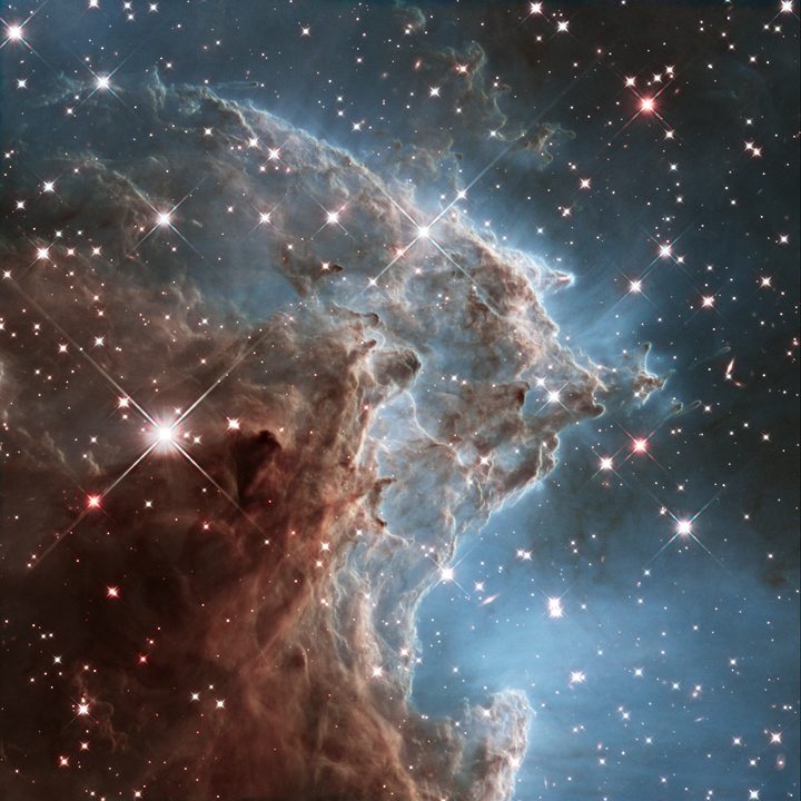 The Monkey Head Nebula