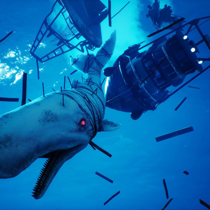 Two sharks fighting underwater.