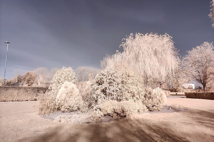 OnePlus 8 Pro color filter