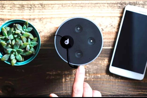 Paranoid Home Button