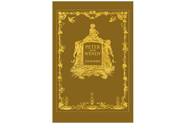 Photo shows a brown book cover with gold illustrations and writing saying Peter Pan and Wendy and the author's name