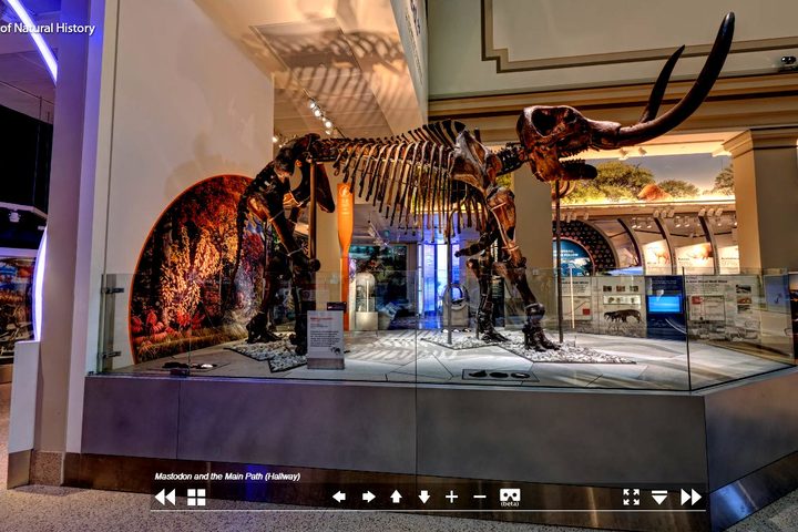 Smithsonian National Museum of Natural History virtual tour