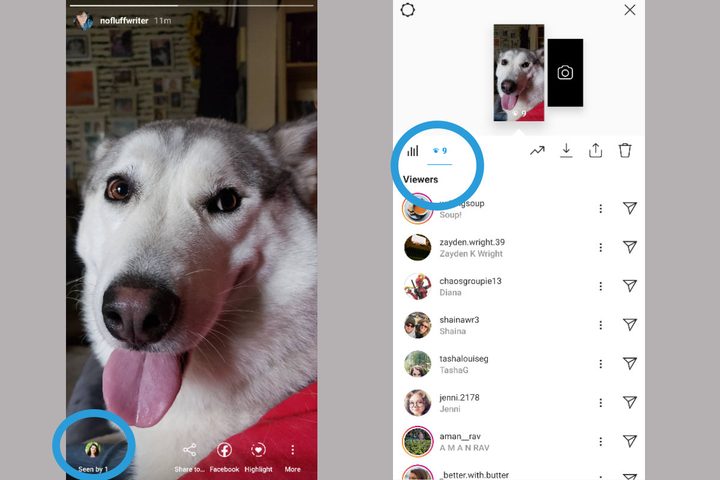 Stories on Instagram Viewers