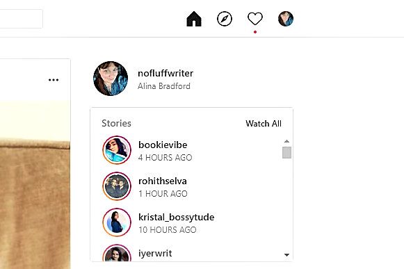 Stories on Instagram Website