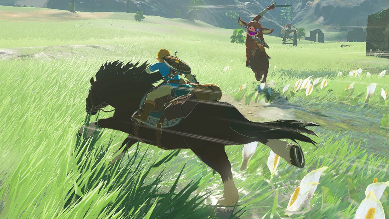breath of the wild switch