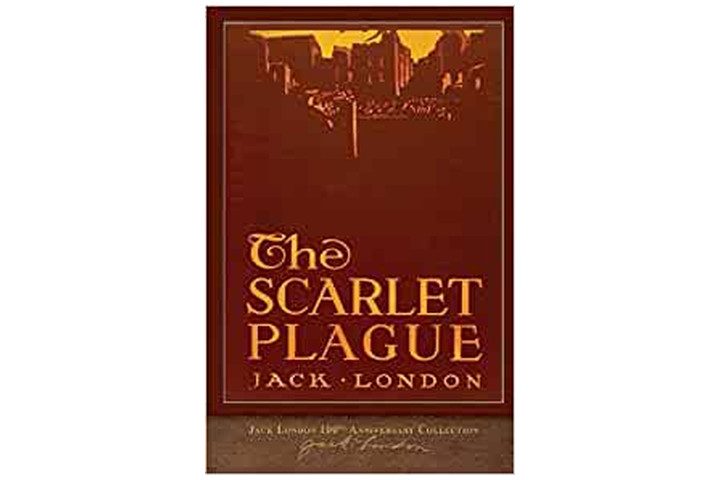 The book cover is a burgundy color with a yellow background, and we can see the outline of buildings, with the book title and author name in a yellow font