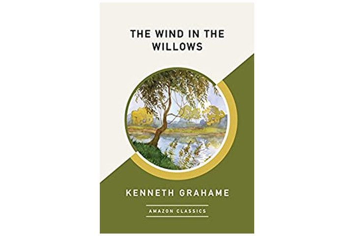 Photo shows the book cover which is split diagonally in half - the top half is cream, the bottom half an olive green. In the middle there is a circle with a picture of a lake and a willow tree. The book title is in black font on the top (beige) half, while the author's name is in a light cream font on the bottom (olive green) half.