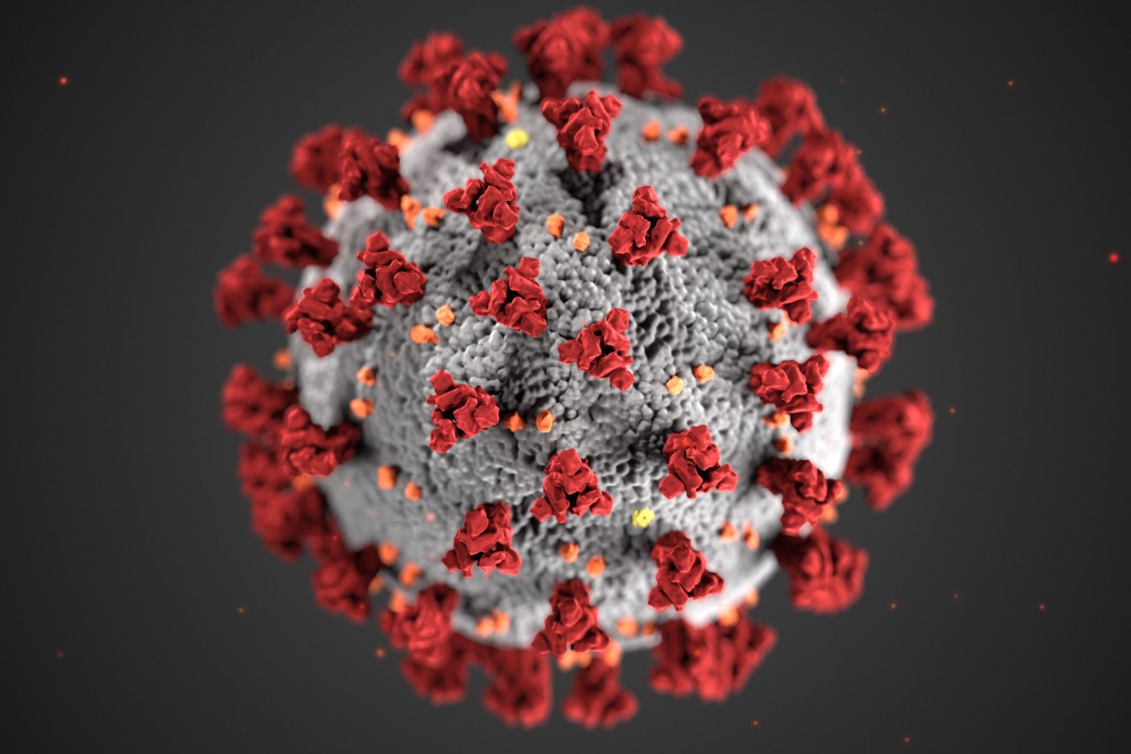 COVID-19 Virus