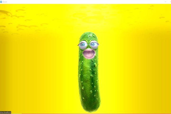 Zoom with pickle Snapchat filters