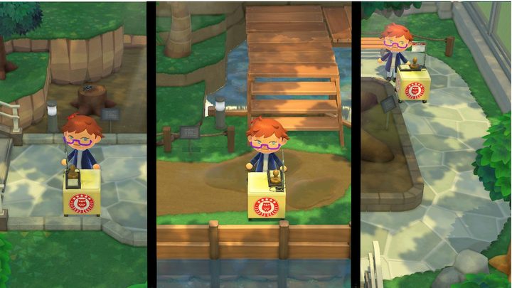 Animal Crossing museum day bug stamp locations