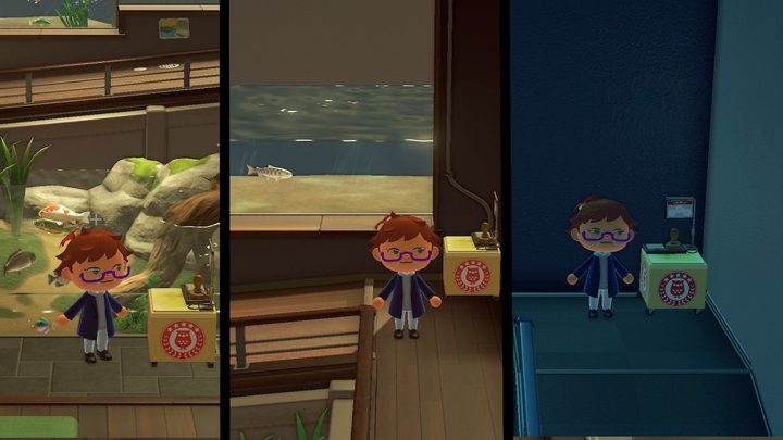 Animal Crossing museum day fish stamp locations