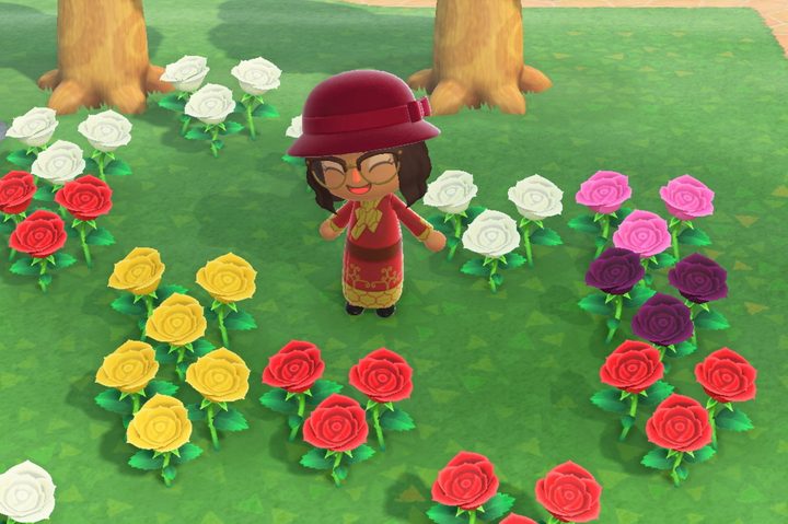 Animal Crossing New Horizons Hybrid Flowers