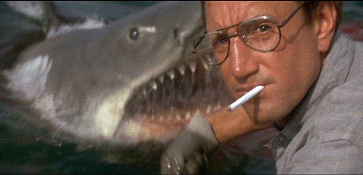 Roy Scheider in a scene from Jaws.