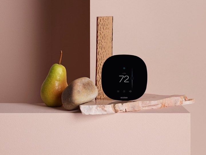 Ecobee thermostat poised against a wall next to a rock and pear.