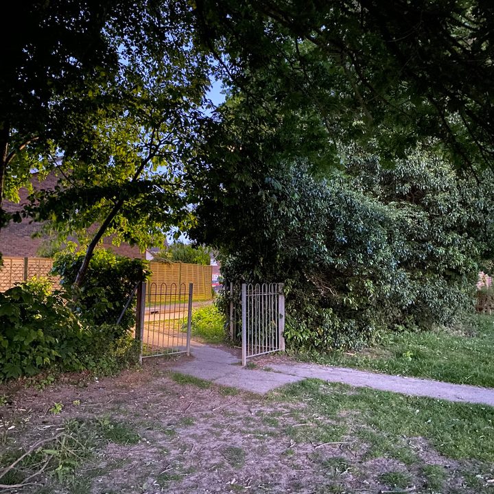 iphone 11 pro galaxy s20 plus oneplus 8 huawei p40 camera shootout night mode