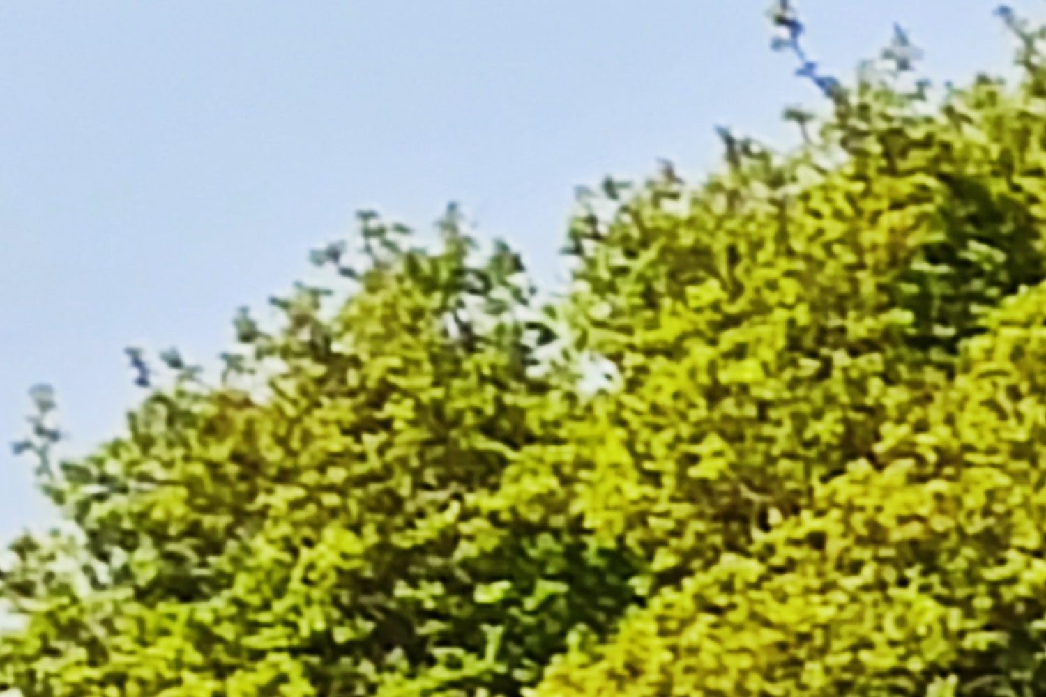 xiaomi mi 10 pro review 50x zoom