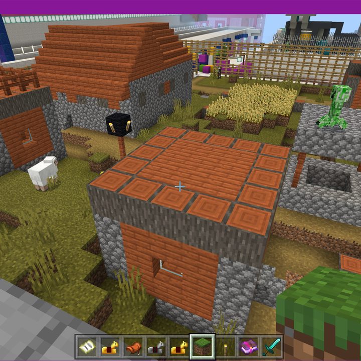 How to Find a Village in Minecraft - Digital Trends