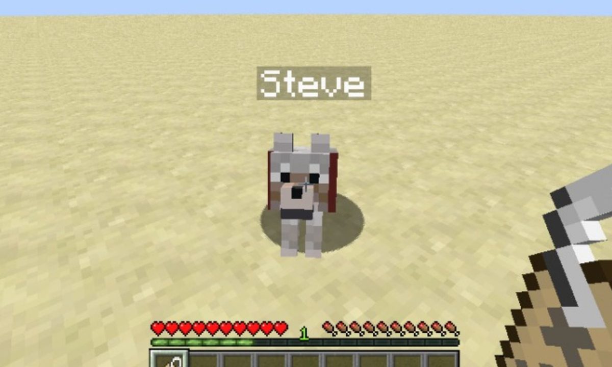 A wolf named steve in Minecraft.