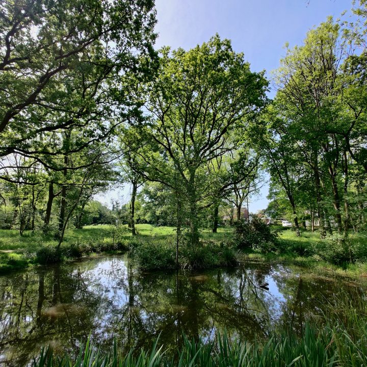 iphone 11 pro galaxy s20 plus oneplus 8 huawei p40 camera shootout wide angle scene