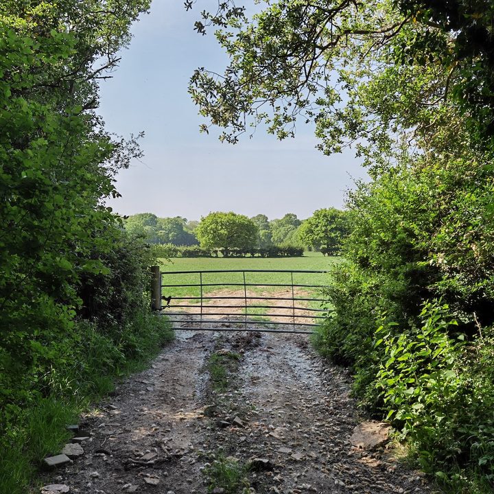 iphone 11 pro galaxy s20 plus oneplus 8 huawei p40 camera shootout shaded gate