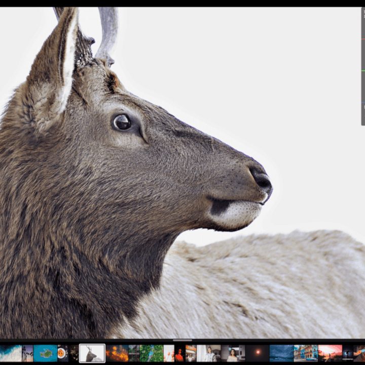 Polarr Photo Editor