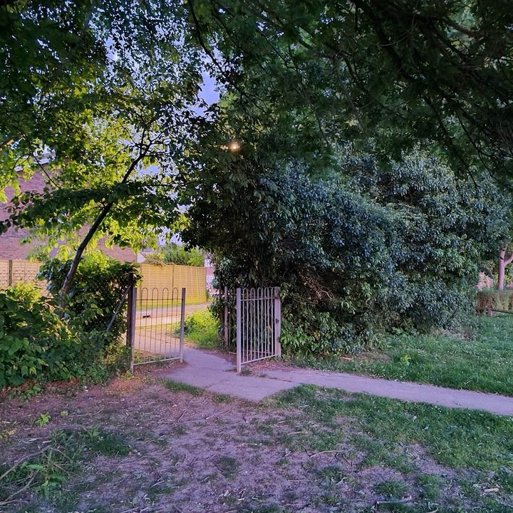 iphone 11 pro galaxy s20 plus oneplus 8 huawei p40 camera shootout night mode
