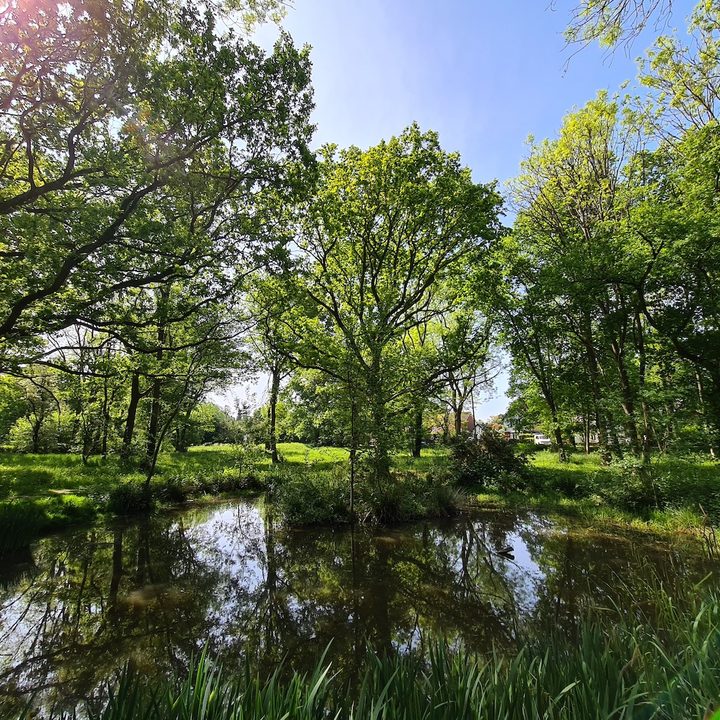 iphone 11 pro galaxy s20 plus oneplus 8 huawei p40 camera shootout wide angle scene
