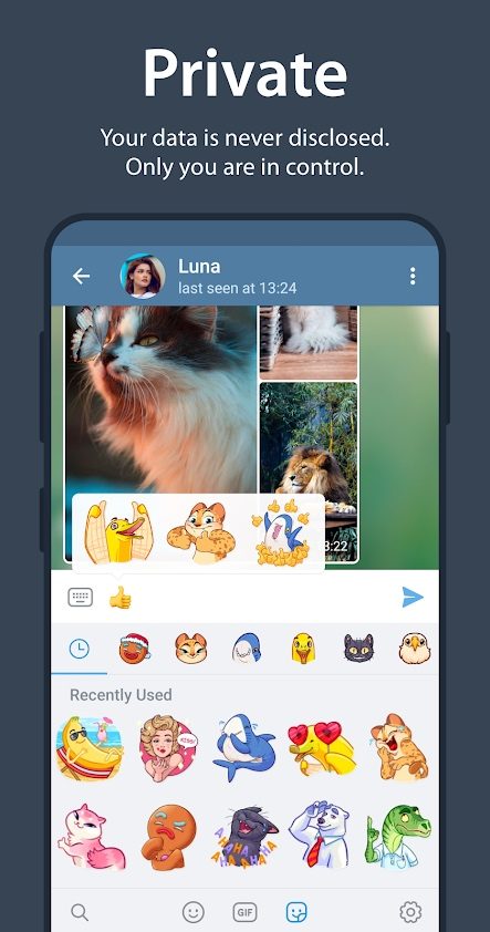 Telegram sticker options.