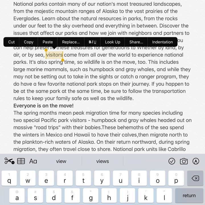 Text gestures in iPadOS