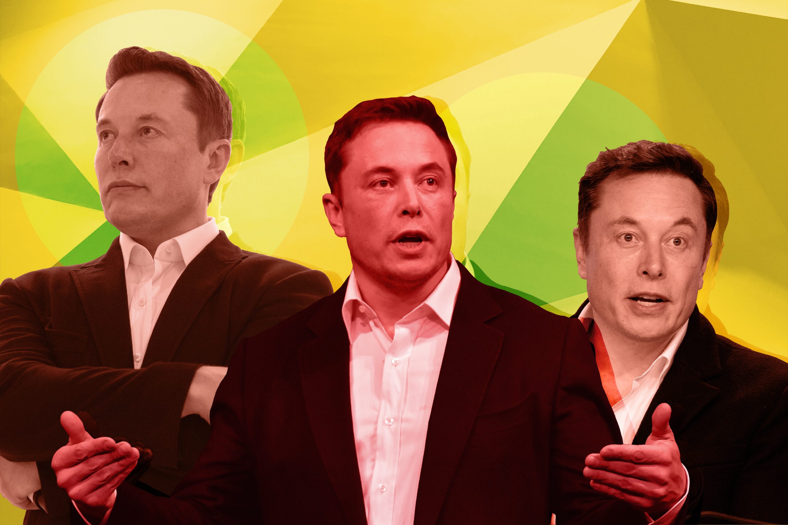 elon musk stylized image
