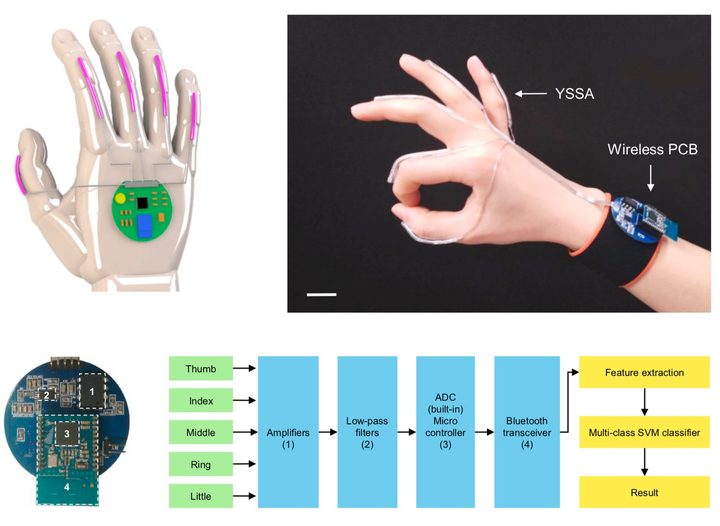 ASL reading system 1