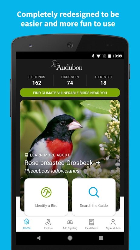 the best bird identification apps for ios and android audubon1