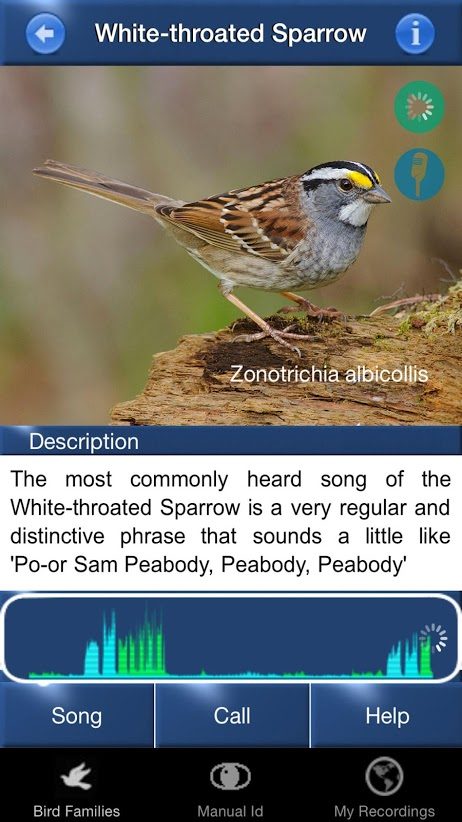 the best bird identification apps for ios and android song id2
