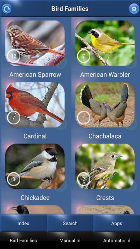 the best bird identification apps for ios and android song id3