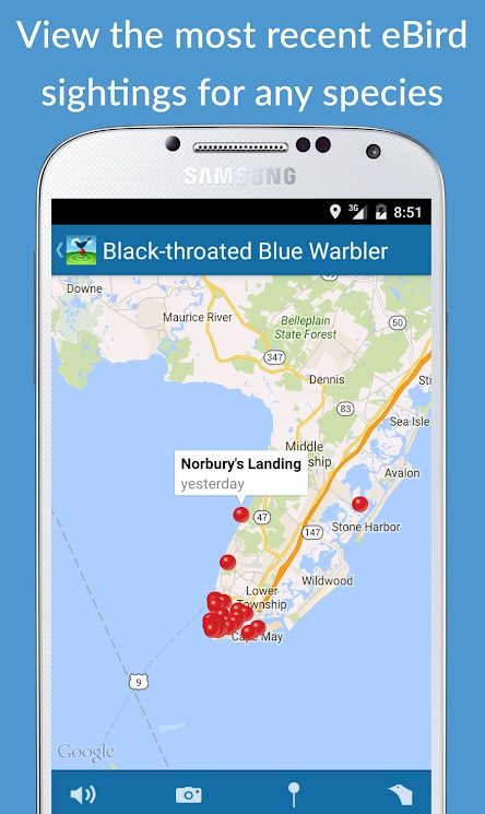 the best bird identification apps for ios and android birdseye2