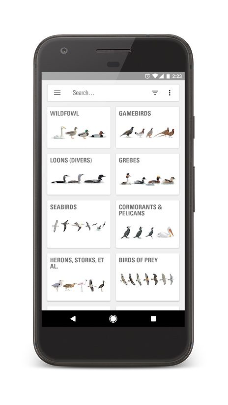 Collins Bird Guide