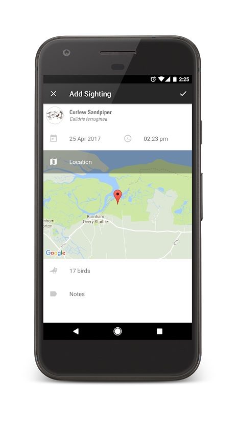 the best bird identification apps for ios and android collins2