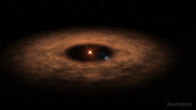 artist's concept shows the dusty disk surrounding the star AU MIcroscopii