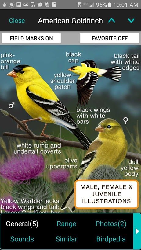 iBird app