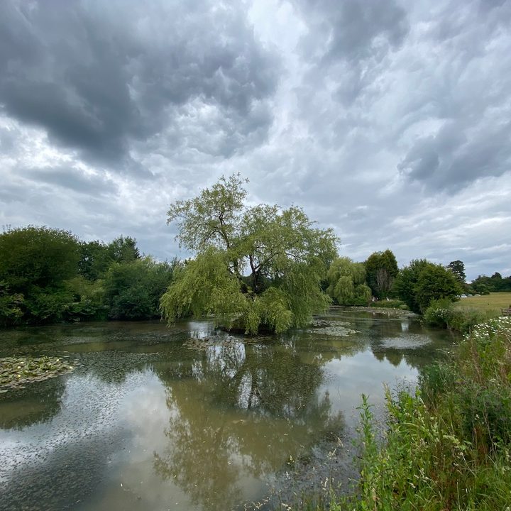 huawei p40 pro plus vs apple iphone 11 samsung galaxy s20 ultra google pixel 4 camera shootout pond