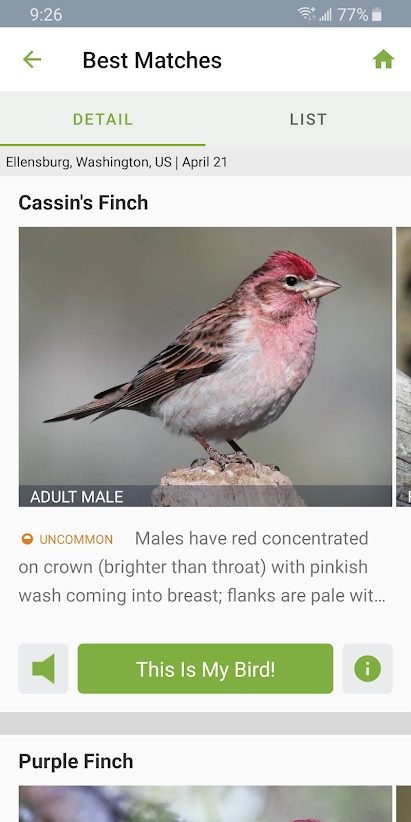 the best bird identification apps for ios and android merlin bird1