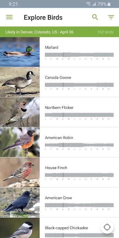 the best bird identification apps for ios and android merlin bird2