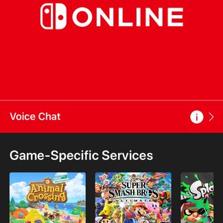 Voice chat in Nintendo Switch Online.