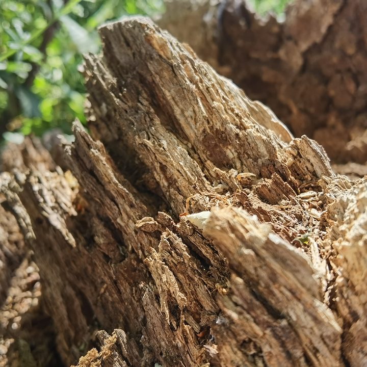 huawei p40 pro plus vs apple iphone 11 samsung galaxy s20 ultra google pixel 4 camera shootout close
