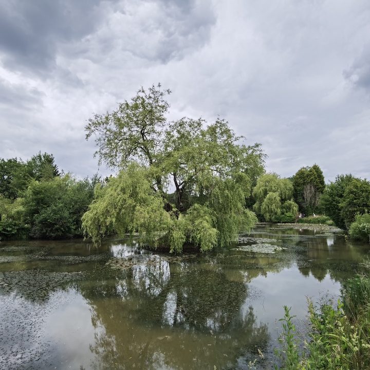 huawei p40 pro plus vs apple iphone 11 samsung galaxy s20 ultra google pixel 4 camera shootout pond wide